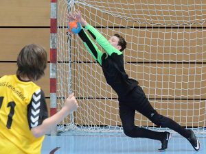 Minihandballcup 2016  (2)