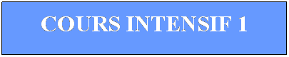 Textfeld: COURS INTENSIF 1
